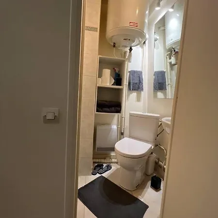 Studio Vue Tour Eiffel Apartment